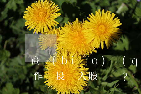 商標(biāo)權(quán)是否可以作為投資入股？